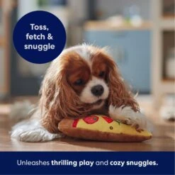 Frisco Pizza Slice Plush Squeaky Dog Toy -PetSafe Kong Shop 213818 PT4. AC SS1800 V1695748409