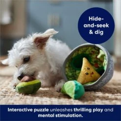 Frisco Guacamole Hide & Seek Puzzle Plush Squeaky Dog Toy -PetSafe Kong Shop 213830 PT5. AC SS1800 V1695748356