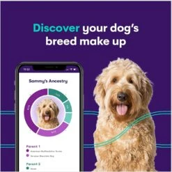 Orivet Geno Pet Plus Dog DNA Breed Identification + Health Test -PetSafe Kong Shop 214015 PT2. AC SS1800 V1648580204