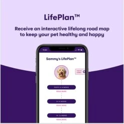 Orivet Geno Pet Plus Dog DNA Breed Identification + Health Test -PetSafe Kong Shop 214015 PT5. AC SS1800 V1648581092