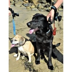 Surf City Pet Works Reflective Bungee Hands-Free Running Dog Leash 8 Surf City Pet Works Reflective Bungee Hands-Free Running Dog Leash -PetSafe Kong Shop 214526 PT3. AC SS1800 V1600999913