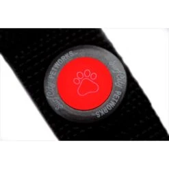 Surf City Pet Works Hang Eight Replacement Light -PetSafe Kong Shop 214535 PT2. AC SS1800 V1576525414