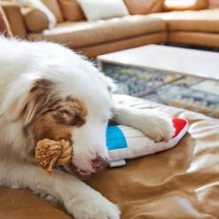 Frisco Summer Fun Plush & Rope Popsicle Dog Toy -PetSafe Kong Shop 214703 PT6. AC SS1800 V1597596505