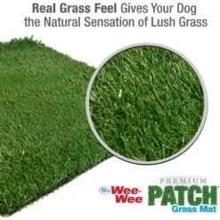 Four Paws Wee-Wee Premium Patch Grass Mat For Dogs, 22-in X 23-in -PetSafe Kong Shop 216074 PT4. AC SS1800 V1578325676