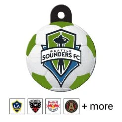 Quick-Tag MLS Circle Personalized Dog & Cat ID Tag, Large