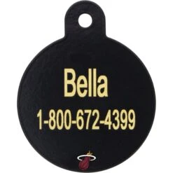 Quick-Tag NBA Circle Personalized Dog & Cat ID Tag, Large -PetSafe Kong Shop 216418 PT1. AC SS1800 V1579199920