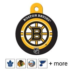 Quick-Tag NHL Circle Personalized Dog & Cat ID Tag, Large