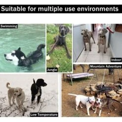 PATPET P320 1000ft Remote Dog Training Shock ECollar -PetSafe Kong Shop 218467 PT5. AC SS1800 V1614007993