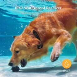 PATPET P640 Outdoor Remote Dog Training Shock Collar 9 PATPET P640 Outdoor Remote Dog Training Shock Collar -PetSafe Kong Shop 218477 PT1. AC SS1800 V1614263215