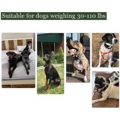 PATPET P640 Outdoor Remote Dog Training Shock Collar 14 PATPET P640 Outdoor Remote Dog Training Shock Collar -PetSafe Kong Shop 218477 PT6. AC SS1800 V1614263510