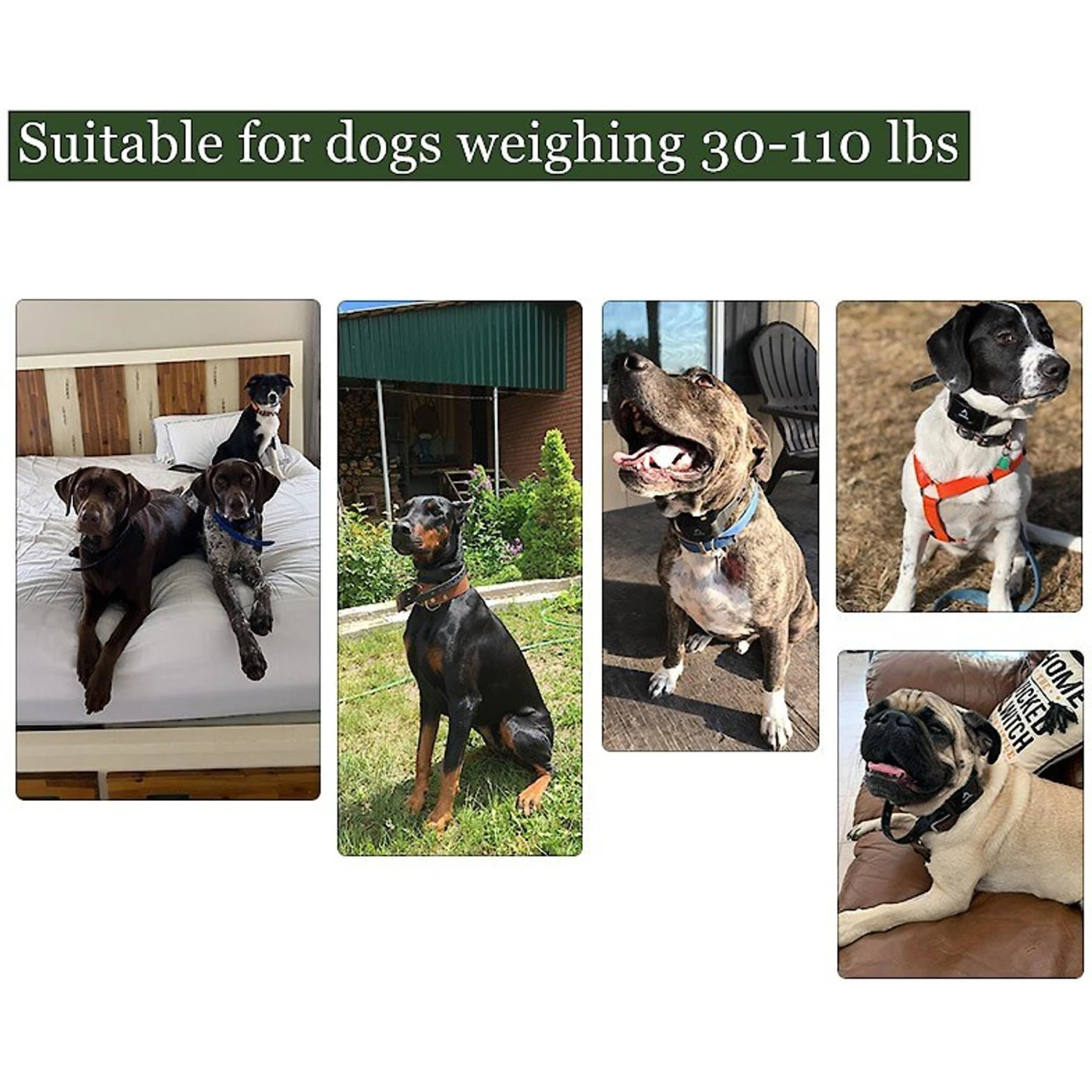 PATPET P640 Outdoor Remote Dog Training Shock Collar 7 PATPET P640 Outdoor Remote Dog Training Shock Collar - Image 7