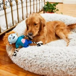 Frisco Zombie Boy Plush With Rope Squeaky Dog Toy 5 Frisco Zombie Boy Plush With Rope Squeaky Dog Toy -PetSafe Kong Shop 218569 PT6. AC SS1800 V1597599376