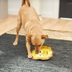 STAR WARS C-3PO Flat Plush Squeaky Dog Toy -PetSafe Kong Shop 220603 PT3. AC SS1800 V1615586253