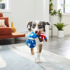 Marvel 's Captain America Bungee Plush Squeaky Dog Toy -PetSafe Kong Shop 220611 PT2. AC SS1800 V1612365186