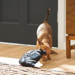 Marvel 's Black Panther Round Plush Squeaky Dog Toy -PetSafe Kong Shop 220621 PT2. AC SS1800 V1612364790