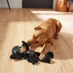 STAR WARS DARTH VADER Plush With Rope Squeaky Dog Toy 5 STAR WARS DARTH VADER Plush With Rope Squeaky Dog Toy -PetSafe Kong Shop 220655 PT3. AC SS1800 V1624648811