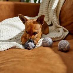 STAR WARS DEATH STAR Fetch Squeaky Tennis Ball Dog Toy, 3 Count -PetSafe Kong Shop 220663 PT2. AC SS1800 V1612366942