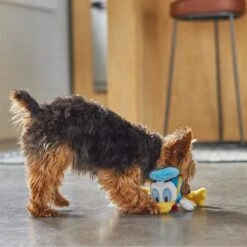 Disney Donald Duck Plush Squeaky Dog Toy -PetSafe Kong Shop 220681 PT3. AC SS1800 V1621383446