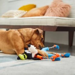 Disney Goofy Plush With Rope Squeaky Dog Toy 5 Disney Goofy Plush With Rope Squeaky Dog Toy -PetSafe Kong Shop 220712 PT2. AC SS1800 V1612365684