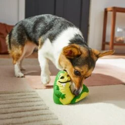 STAR WARS JABBA THE HUTT Latex Squeaky Dog Toy -PetSafe Kong Shop 220744 PT3. AC SS1800 V1624648464