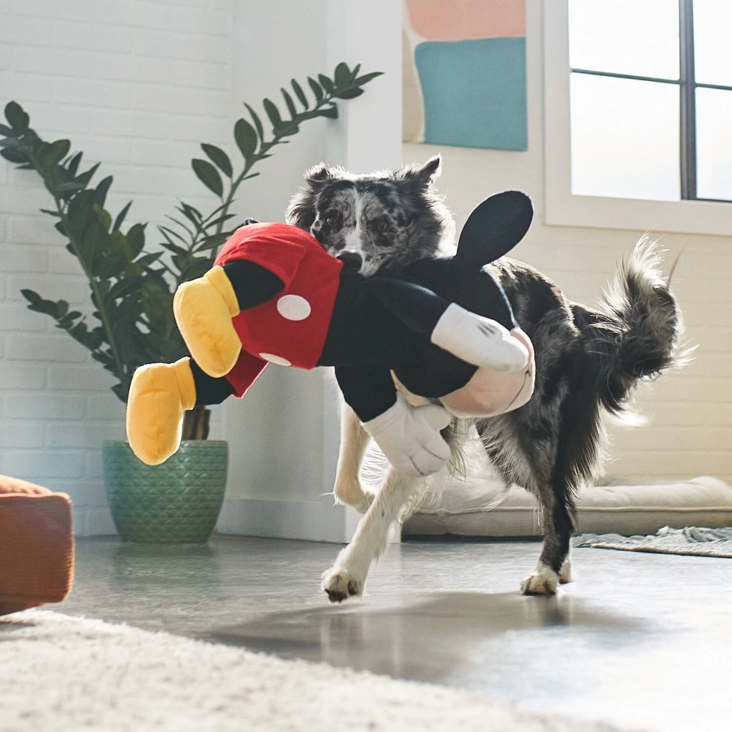 Disney Mickey Mouse Jumbo Plush Squeaky Dog Toy 3 Disney Mickey Mouse Jumbo Plush Squeaky Dog Toy - Image 3