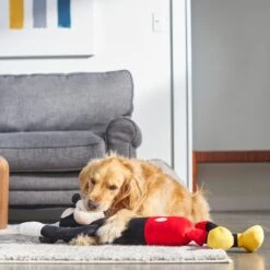 Disney Mickey Mouse Wagazoo Plush Squeaky Dog Toy, Extra Long -PetSafe Kong Shop 220783 PT3. AC SS1800 V1621383300