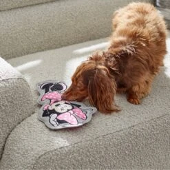 Disney Minnie Mouse Flat Plush Squeaky Dog Toy -PetSafe Kong Shop 220805 PT2. AC SS1800 V1612364883