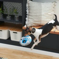 STAR WARS R2-D2 Round Plush Squeaky Dog Toy -PetSafe Kong Shop 220868 PT2. AC SS1800 V1612365557