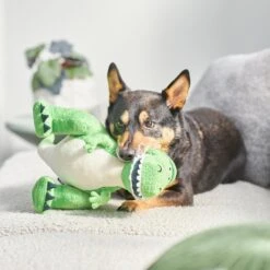 Pixar Rex Plush Squeaky Dog Toy -PetSafe Kong Shop 220870 PT3. AC SS1800 V1624648422