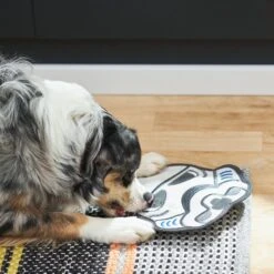 STAR WARS STORMTROOPER Flat Plush Squeaky Dog Toy 7 STAR WARS STORMTROOPER Flat Plush Squeaky Dog Toy -PetSafe Kong Shop 220896 PT3. AC SS1800 V1615586203