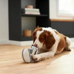 STAR WARS STORMTROOPER Round Plush Squeaky Dog Toy -PetSafe Kong Shop 221023 PT3. AC SS1800 V1621382884