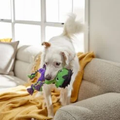 Marvel 's The Hulk Plush With Rope Squeaky Dog Toy -PetSafe Kong Shop 221031 PT2. AC SS1800 V1612366024