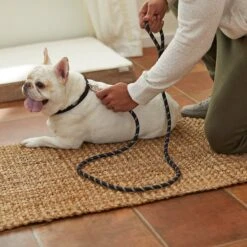 Frisco Reflective Rope Dog Leash 9 Frisco Reflective Rope Dog Leash -PetSafe Kong Shop 221214 PT4. AC SS1800 V1602862582