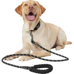 Frisco Rope Dog Leash With Padded Handle 9 Frisco Rope Dog Leash With Padded Handle -PetSafe Kong Shop 221218 PT3. AC SS1800 V1701796765