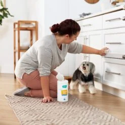 Frisco Vinegar Cleaning Wipes, 70 Count 9 Frisco Vinegar Cleaning Wipes, 70 Count -PetSafe Kong Shop 222151 PT4. AC SS1800 V1602847932