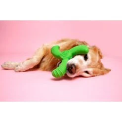 Hartz Dura Play Boomerang Bacon Scented Squeaky Latex Dog Toy, Color Varies -PetSafe Kong Shop 222813 PT3. AC SS1800 V1661201300