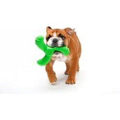 Hartz Dura Play Boomerang Bacon Scented Squeaky Latex Dog Toy, Color Varies -PetSafe Kong Shop 222813 PT4. AC SS1800 V1661201463