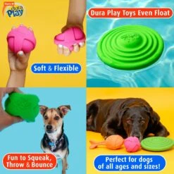 Hartz Dura Play Boomerang Bacon Scented Squeaky Latex Dog Toy, Color Varies -PetSafe Kong Shop 222813 PT5. AC SS1800 V1661201762