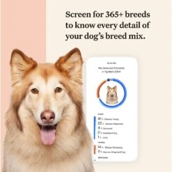 Wisdom Panel Premium Breed Identification & Health Condition Identification DNA Test For Dogs -PetSafe Kong Shop 223416 PT2. AC SS1800 V1693496375