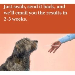 Wisdom Panel Premium Breed Identification & Health Condition Identification DNA Test For Dogs -PetSafe Kong Shop 223416 PT5. AC SS1800 V1693496143