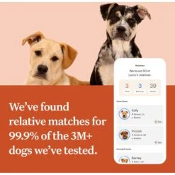 Wisdom Panel Premium Breed Identification & Health Condition Identification DNA Test For Dogs -PetSafe Kong Shop 223416 PT7. AC SS1800 V1693496376