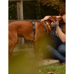 LIFE IS GOOD Canvas Overlay Good Vibes Polyester Dual Clip Dog Harness -PetSafe Kong Shop 226216 pt3. AC SS1800 V1583876582