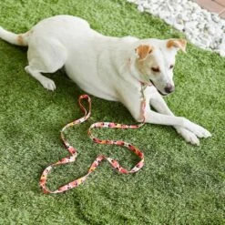 Disney Minnie Mouse Floral Dog Leash 9 Disney Minnie Mouse Floral Dog Leash -PetSafe Kong Shop 226286 PT4. AC SS1800 V1614020435