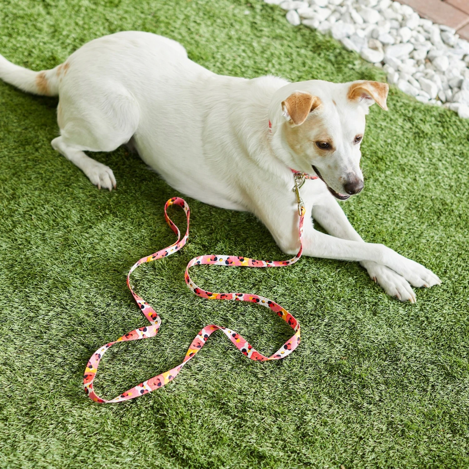 Disney Minnie Mouse Floral Dog Leash 4 Disney Minnie Mouse Floral Dog Leash - Image 4