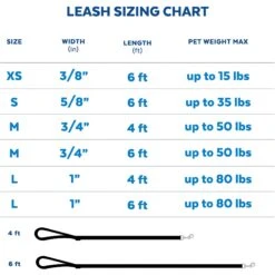 Disney Minnie Mouse Floral Dog Leash 10 Disney Minnie Mouse Floral Dog Leash -PetSafe Kong Shop 226286 PT5. AC SS1800 V1626810446