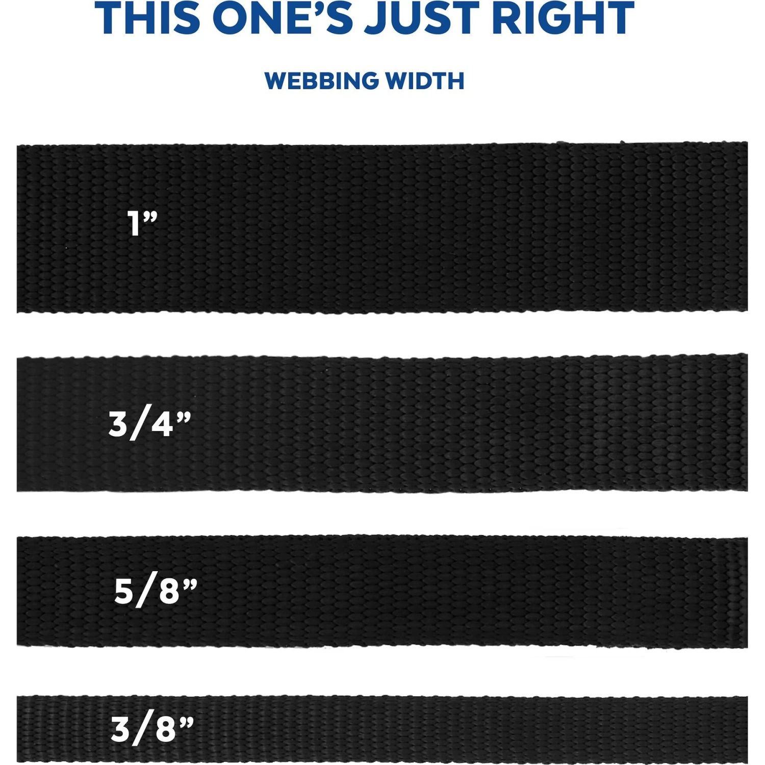 Disney Minnie Mouse Floral Dog Leash 6 Disney Minnie Mouse Floral Dog Leash - Image 6