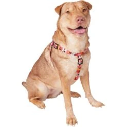 Disney Minnie Mouse Floral Dog Harness 8 Disney Minnie Mouse Floral Dog Harness -PetSafe Kong Shop 226360 PT2. AC SS1800 V1613419879