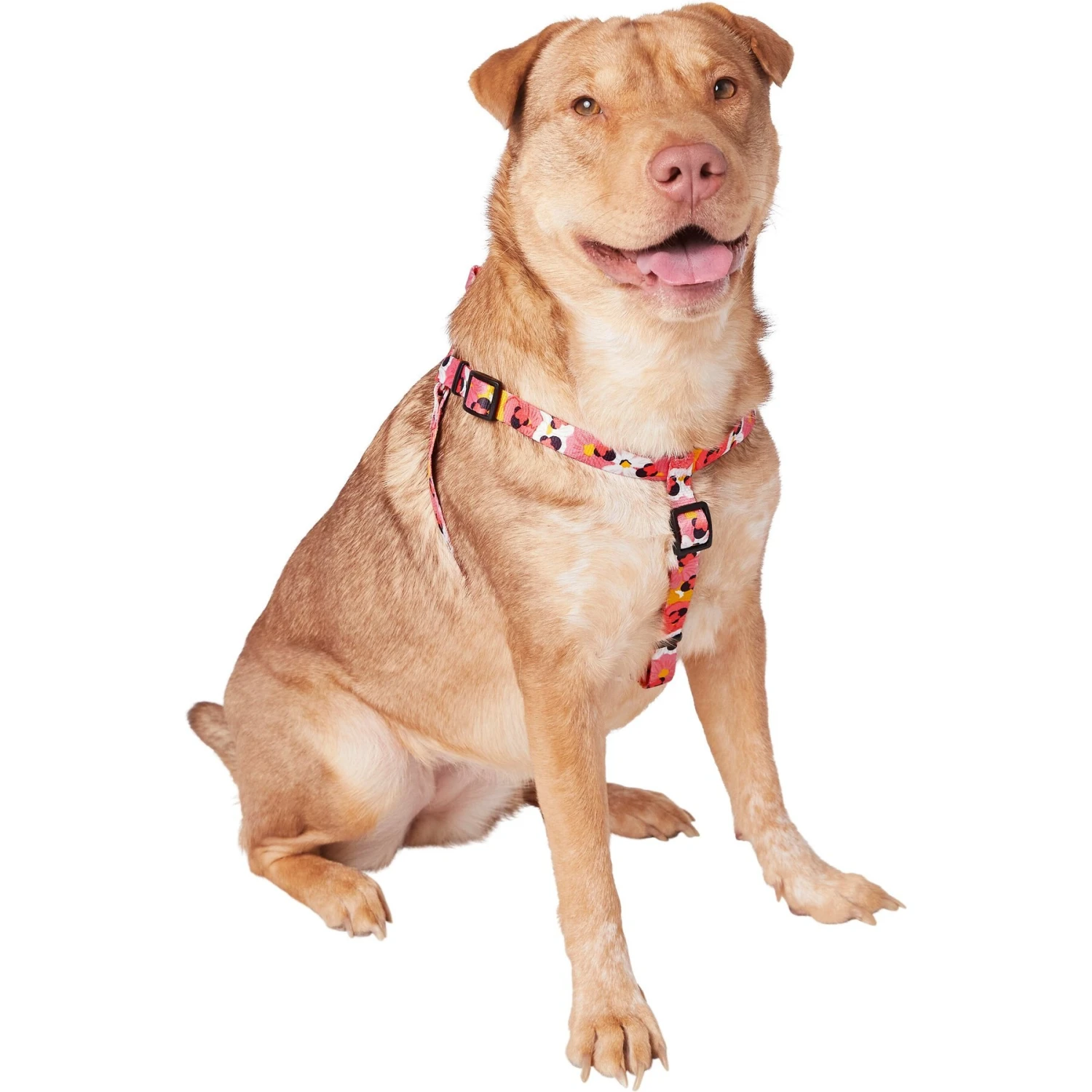 Disney Minnie Mouse Floral Dog Harness 3 Disney Minnie Mouse Floral Dog Harness - Image 3