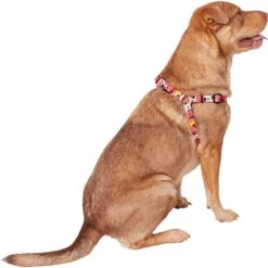 Disney Minnie Mouse Floral Dog Harness 9 Disney Minnie Mouse Floral Dog Harness -PetSafe Kong Shop 226360 PT3. AC SS1800 V1613420193