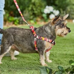 Disney Minnie Mouse Floral Dog Harness 11 Disney Minnie Mouse Floral Dog Harness -PetSafe Kong Shop 226360 PT5. AC SS1800 V1642111303